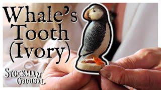 How to Scrimshaw a Puffin Part 1 Carving the Whales tooth