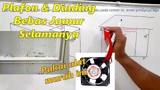 Mengatasi Jamur di Plafon dan Dinding Kamar Mandi Permanen