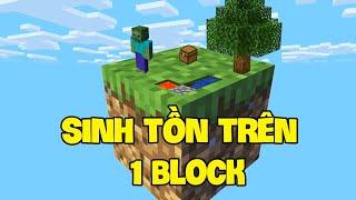 THỬ THÁCH SINH TỒN TRÊN 1 BLOCK TRONG MINECRAFT Siêu Khó Và Cực Kì Thú Vị  Thánh TNT