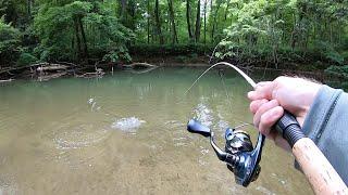 TROUT Fishing with Spinners Brown Brook Rainbow