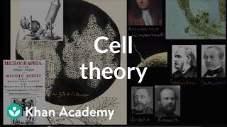 Cell theory  The cellular basis of life  High school biology  Khan Academy