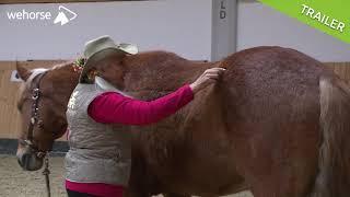 Tarantel-TTouch für Pferde Wie du deinem Pferd die Angst nehmen kannst  Linda Tellington-Jones