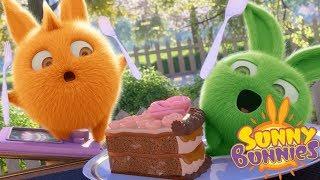 Videos For Kids  Sunny Bunnies -  FUNNY BEHIND THE SCENES  SEASON 2  Sunny Bunnies Special