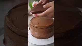 Decadent 12 layer Chocolate Cake   #shorts #chocolate #ganache