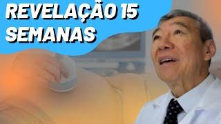 AO VIVO REVELAÇÃO DE SEXO - 15 semanas