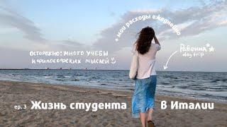 Сколько стоит жизнь в Италии?  сложности учебы в Вышке один день в Равенне оформляю местную карту