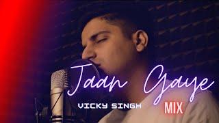 Jaan Gaye Mix - Vicky Singh  Unplugged