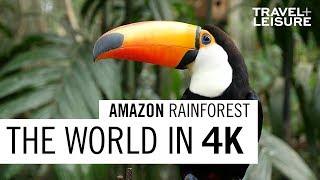 Amazon Rainforest  The World in 4K  Travel + Leisure