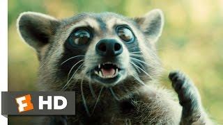 Furry Vengeance 1111 Movie CLIP - Raccoon Fight 2010 HD