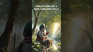 JAPJI SAHIB #youtubeshorts #nitnemsahib #japjisahib #nitname #sukhmanisahib #royalcatcher