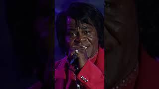 Georgia On My Mind  live in Poland in 1998 #jamesbrown #funk #soul #music #livemusic #shorts