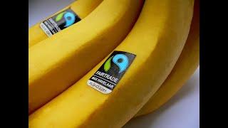 Fairtrade Documentary Bananas