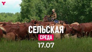 Сельская среда 17.07.2024