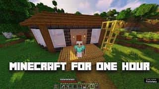 playing minecraft for ONE hour