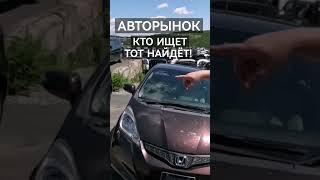 Зелёный угол Кто ищет тот всегда найдёт