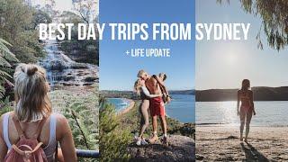 Best Day Trips Around Sydney Blue Mountains & Palm Beach & More  Life Update in Sydney - Vlog