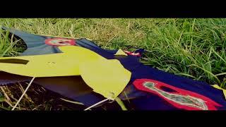 hawk kite commercial