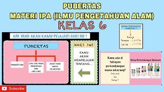 PUBERTAS Pengertian Ciri dan Sikap  MATERI IPA KELAS 6 TEMA 6