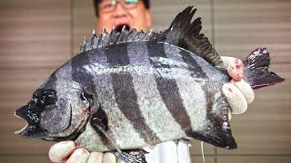 I will show you why this fish is the king of sashimi.