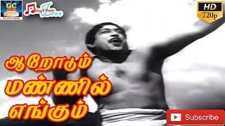 ஆறோடும் மண்ணில் எங்கும்  முழு பாடல்  Aarodum Mannil Engum  Full Video Song  Pazhani Songs HD