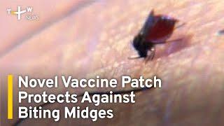 Novel Vaccine Patch Protects Against Biting Midges  TaiwanPlus News