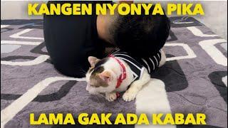 KUCING JALANAN INI SETIA MENEMANI SELAMA LIMA TAHUN DALAM SUKA DUKA