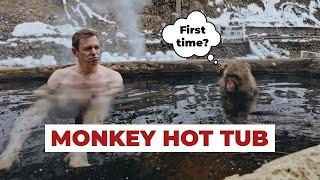 How to BATH with a Japanese MONKEY
