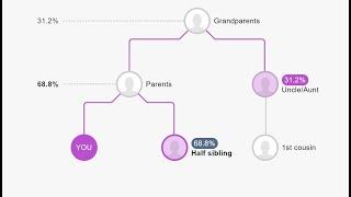 Newest MyHeritage DNA Tool is NOT Something to Miss