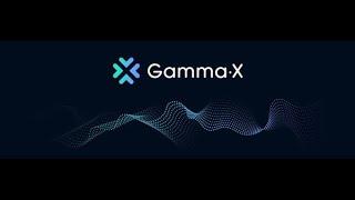 GammaX Testnet Guide