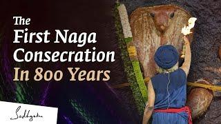 Glimpses of a Rare Mystical Event - Naga Consecration @Sadhguru Sannidhi Bengaluru