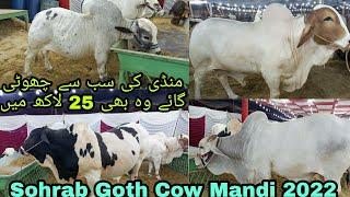 Sohrab Goth Cow Mandi 2022  Sohrab Goth Maweshi Mandi  2022 cattle Market karachi 2022 part 1