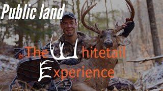 Bowhunting Public land Ohio buck 2019