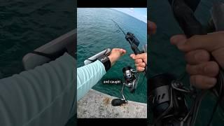 This Fishing Rod Let’s You See Underwater #shorts #fishing