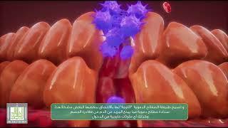 عملية الإرقاء - Hemostasis Process