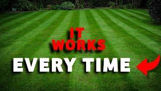 The secret to a green lawn all year round *BONUS* its really easy and cheap to do