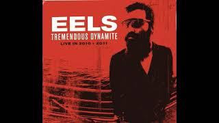 Eels - Novocaine For The Soul Live