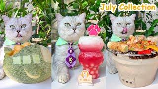 Enjoy The Chef Cat’s July Recipes ASMR  Cat Cooking Food  Milktea&Fruit Desserts And So On