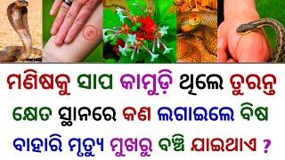 odia gk questions and answers  General knowledge odia  odia gk quiz  odia gk  gk in odia