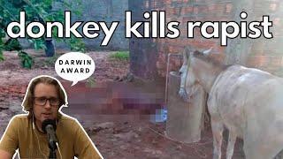 Darwin Award - Man Tries To Have Sex With Donkey