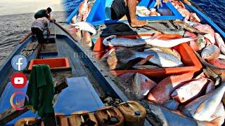 Luar biasa bisa dapat banyak ikan besar Begini jika lokasi mancing  jarang di pancing