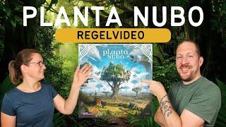 Regelvideo Planta Nubo