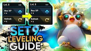 The ONLY Level & Econ Guide youll need for Set 9