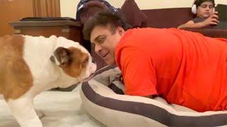 Ram Kapoor Very FUNNY Conversation With His Dog   .  Must Watch