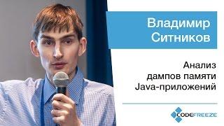 Владимир Ситников — Анализ дампов памяти Java-приложений