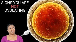 Signs That You Are Not OVULATING   How To Know You Are Not Ovulating