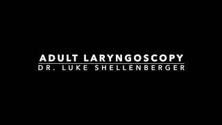 Adult - Laryngoscopy - Anatomy