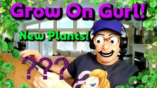 Grow On Gurl Logees Plants Springtime Unboxing