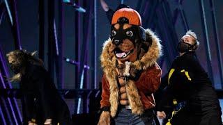 The Masked Singer  S2  Rottweiler