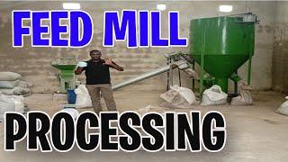 How to Process Feeds for Livestock