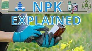 Introduction to NPK Nitrogen  Phosphorus  Potassium